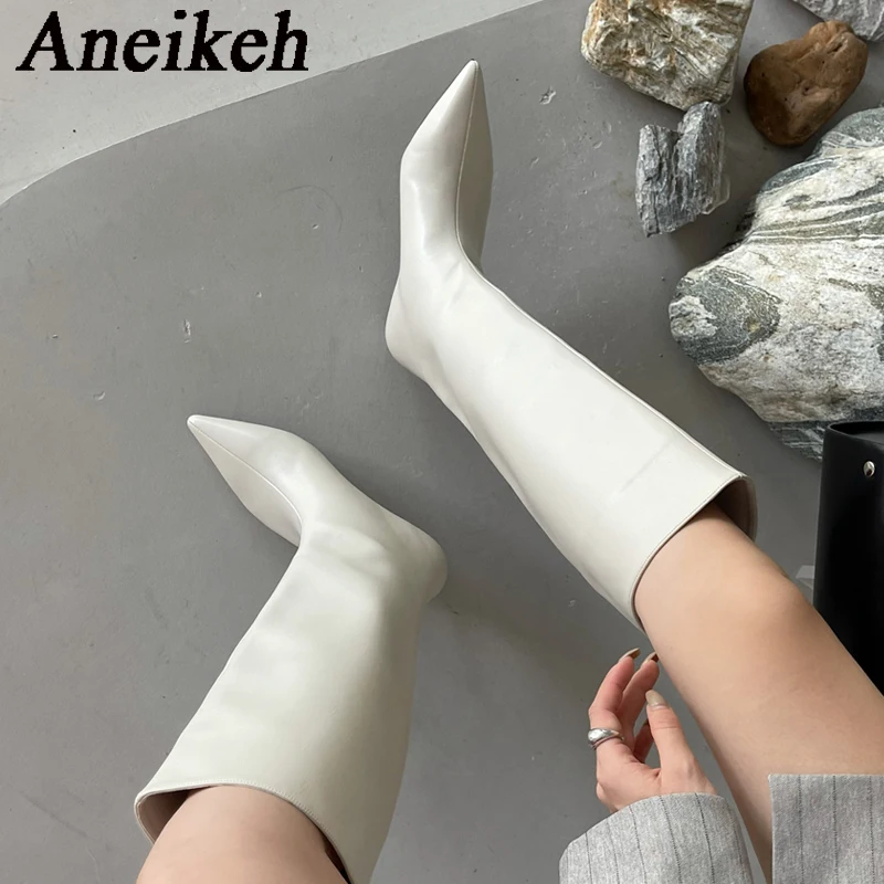 Aneikeh 2026 Fashion Sexy Poin - Women'S Fashion Knee High Boots ulasan dan harga