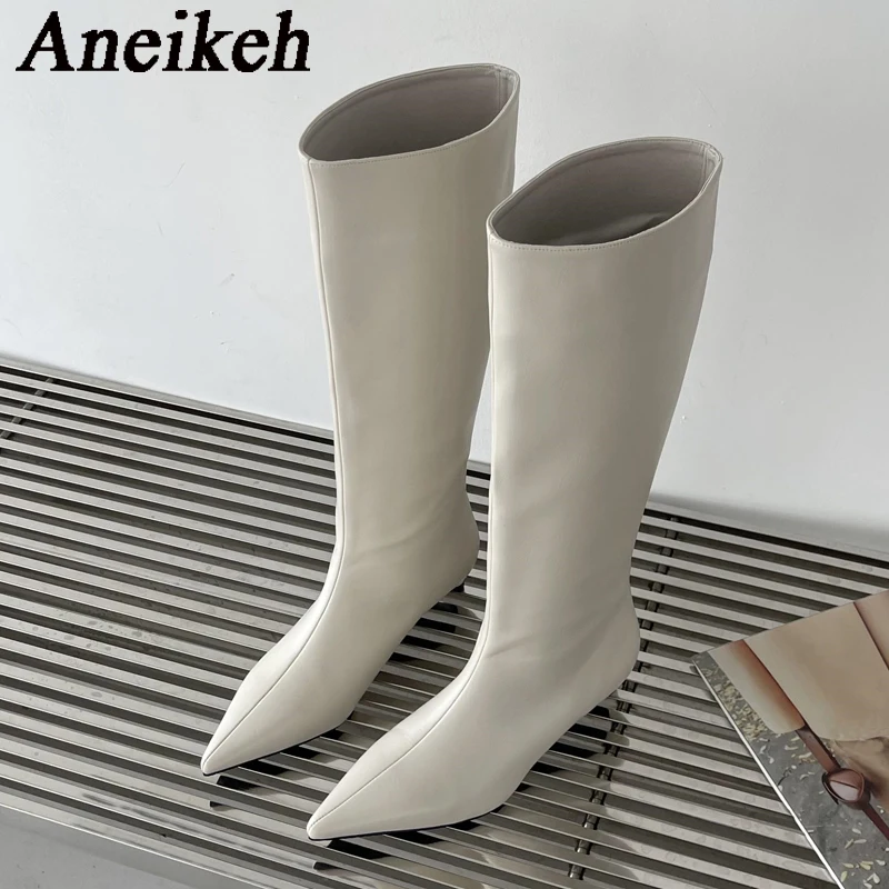 Aneikeh 2026 Fashion Sexy Poin - Women'S Fashion Knee High Boots ulasan dan harga